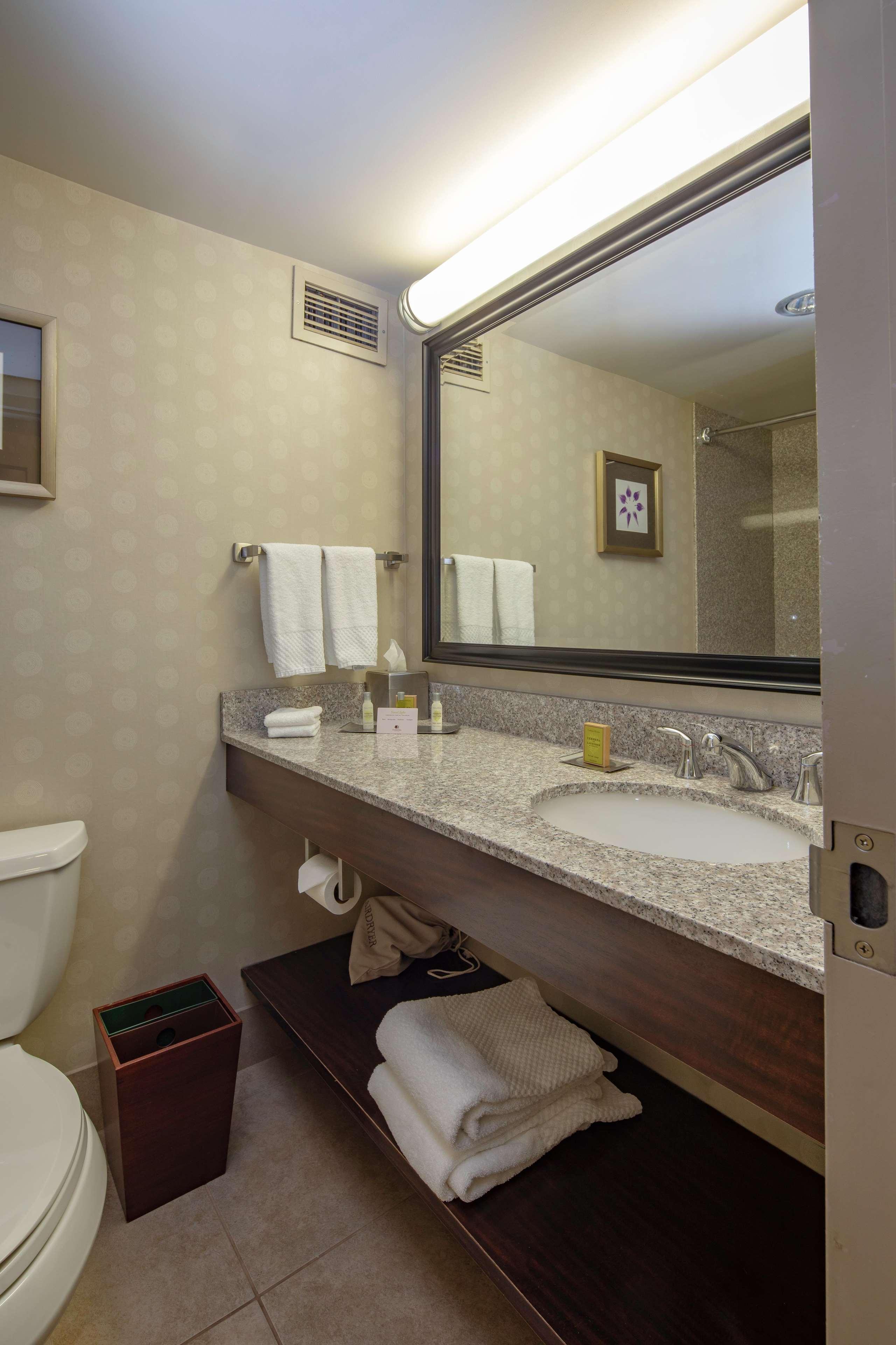 Hotel Doubletree By Hilton Pittsburgh Convention Center